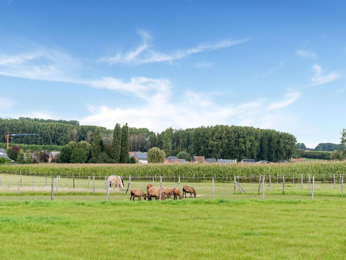 Stunning Holiday Home In Oombergen With Terrace And Garden Zottegem Esterno foto